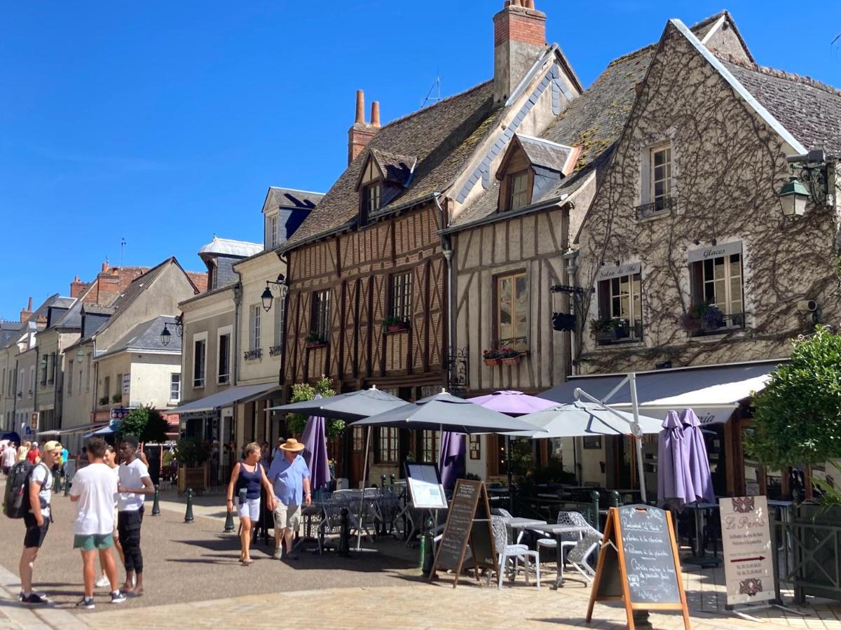 L'Amboisienne, Au Pays Des Chateaux Amboise Zewnętrze zdjęcie